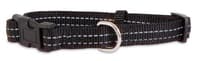 Dog Collars & Leashes - Collars